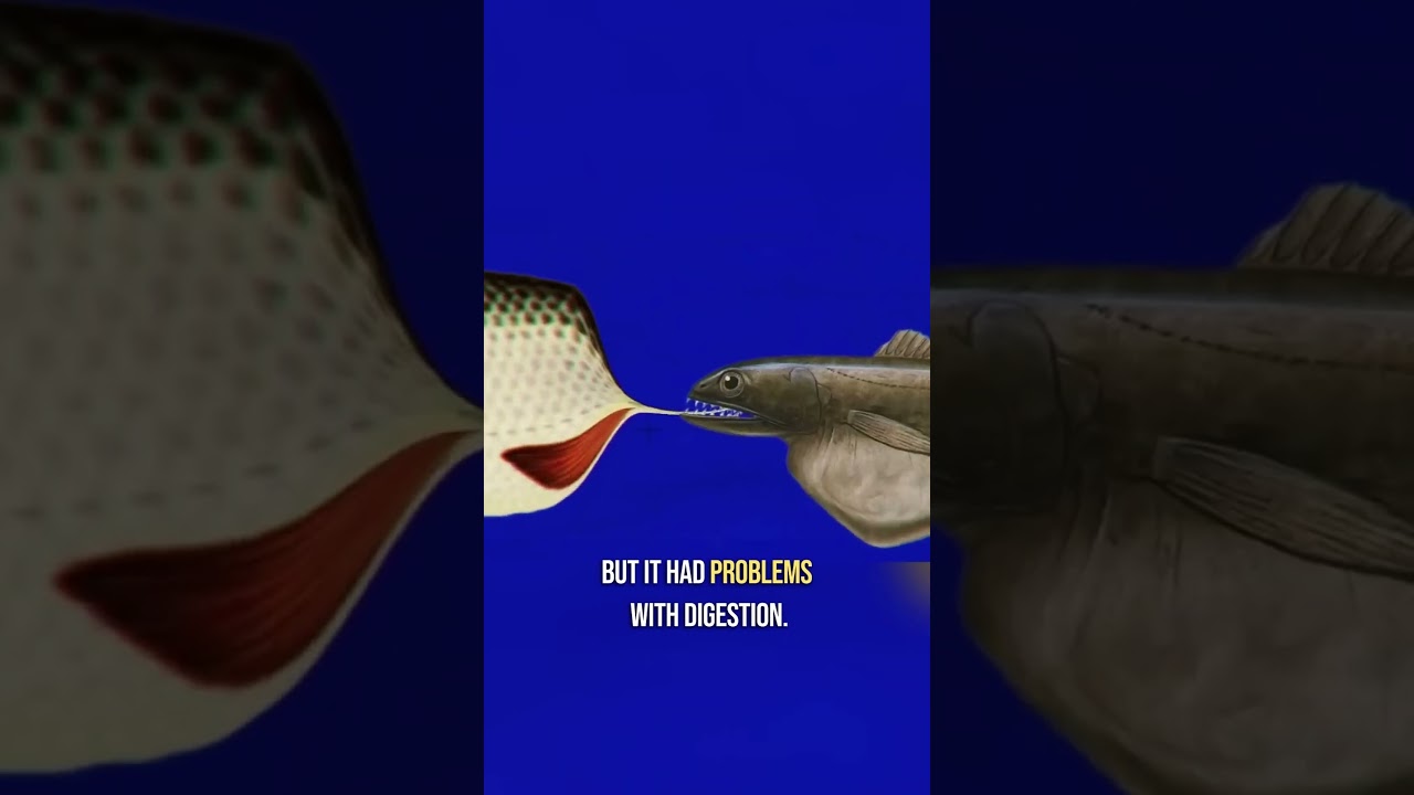 Greediest Fish. The Black Swallower #shorts