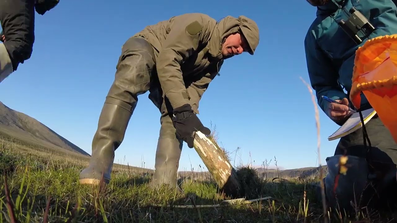 Mammoth tusk excavation