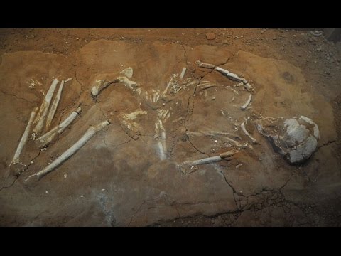 Ancient Greeks Used Magic & Stones to Prevent Zombies