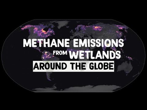 Methane Emissions from Wetlands