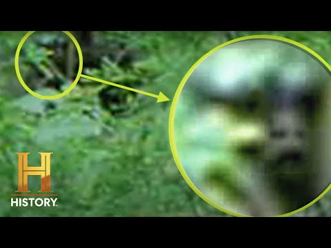 MYSTERIOUS DOG-MAN HUNTS PREY | The Proof is Out There (Season 2) | Exclusive