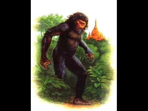 Cryptids and Monsters:  (CRYPTID OF THE WEEK) Nguoi Rung "Vietnamese Wildman", dangerous sasquatch
