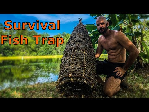 Primitive Survival Fish Trap - Build, Catch and Cook