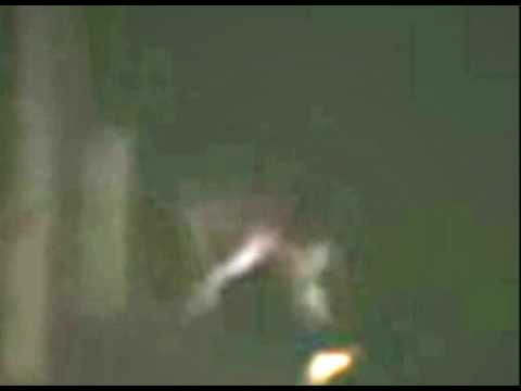 Campers catch weird creature on film