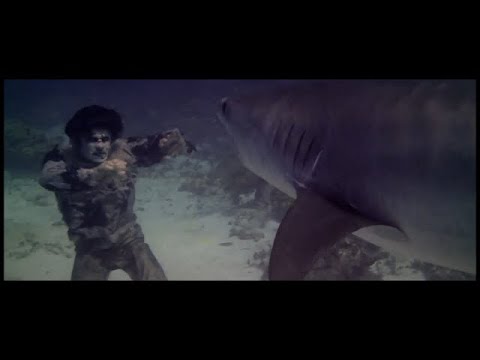Zombie 2 (1979) - Shark vs. Zombie