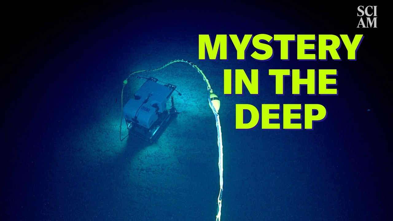 Nodules: Deep-Sea Life Giver or Key to Our Energy Future?