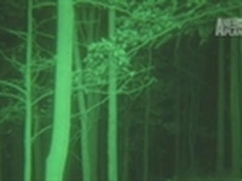 Search for the Ohio Bigfoot | Finding Bigfoot