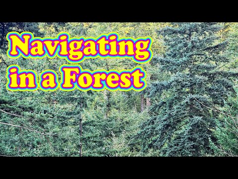THIS is how to navigate in a forest – Forest Navigation done correctly