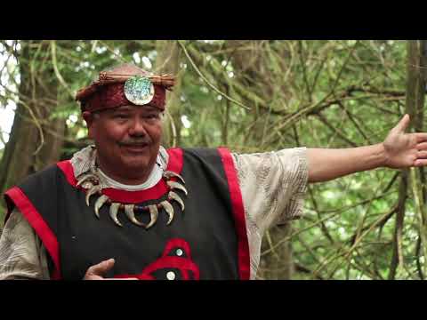Encounters with the Sasquatch