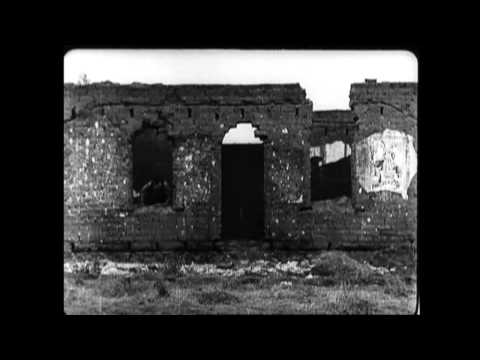 Buster Keaton's THE SCARECROW (1920)