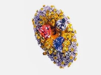 World's Most Extravagant Possessions