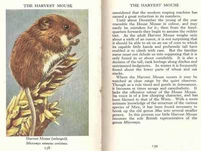 Hidden Treasures of Observer’s Books: Why These Pocket-Sized Guides Are Collectors’ Gold 2 Treasures of Observer’s Books