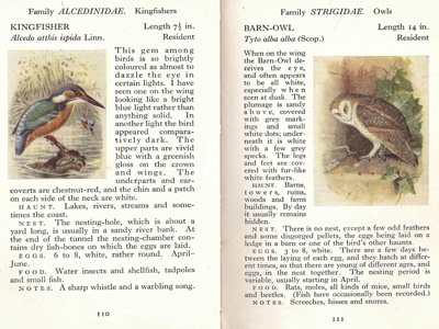 Hidden Treasures of Observer’s Books: Why These Pocket-Sized Guides Are Collectors’ Gold 3 Treasures of Observer’s Books