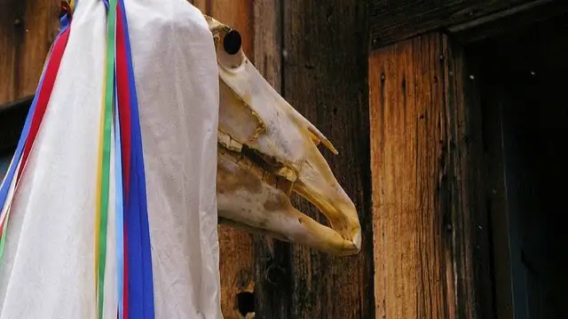 5 Creepy Christmas Traditions That Will Shock You! 2 Horse Skull Parade of Mari Lwyd