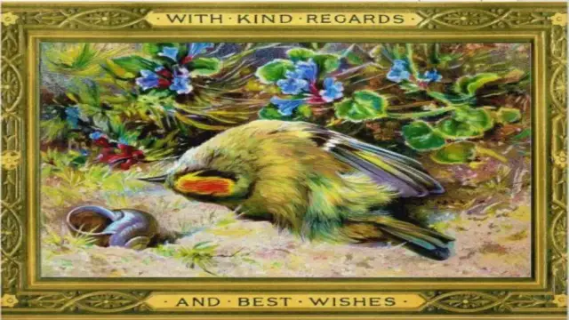 5 Creepy Christmas Traditions That Will Shock You! 1 Victorian Obsession with Dead Birds