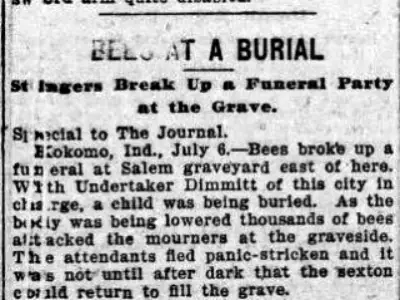 Telling the Bees: The Creepy Death Superstition Explained 2 Minneapolis Journal, July 6,1901