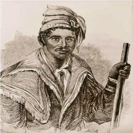 History of the Seminole Tribe: Origins, Culture, Wars, and Life Today Seminole Tribe: Origins