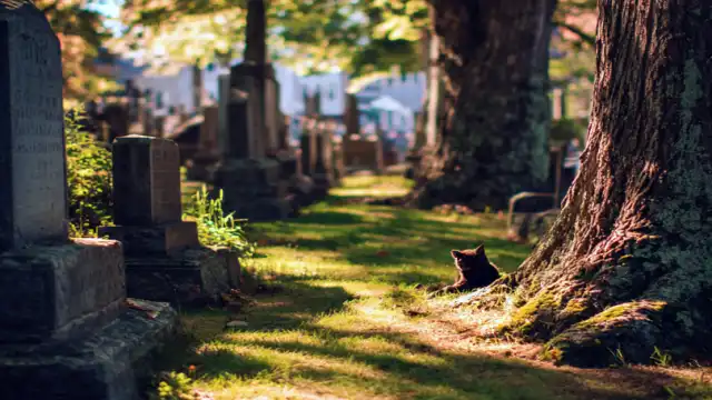 Top 10 Most Haunted Cemeteries in the US 2026: Real Ghost Tales Western Burial Ground (Baltimore, Maryland)