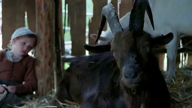 The Witch: Thomasin's Black Phillip Dialogue - Analysis witch-black-phillip