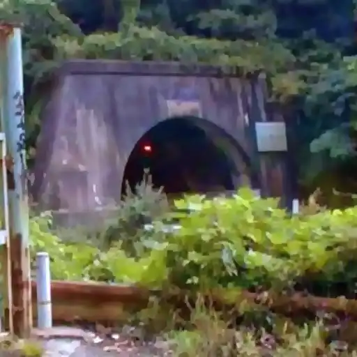 21 Japanese Urban Legends: True Stories & Survival Rules Japanese Urban Legend Inunaki Tunnel