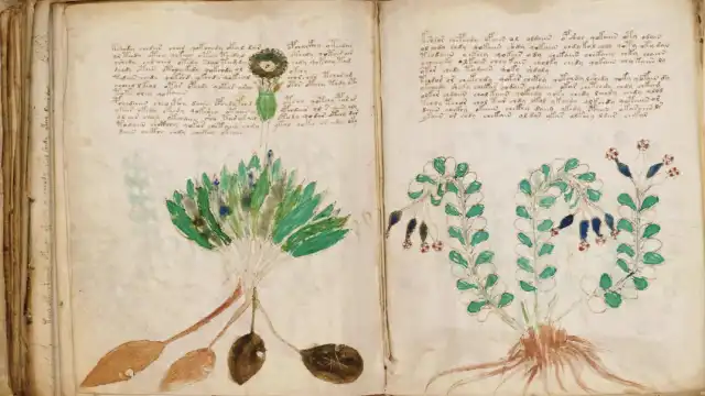 Voynich Manuscript Solved? 2026 Research, History & Leading Theories Voynich Brief History