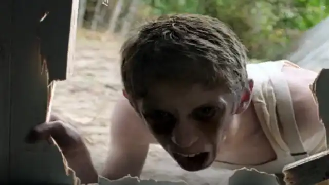 It Follows Ending Explained: Who Holds the Curse Last? it follows Final Scene