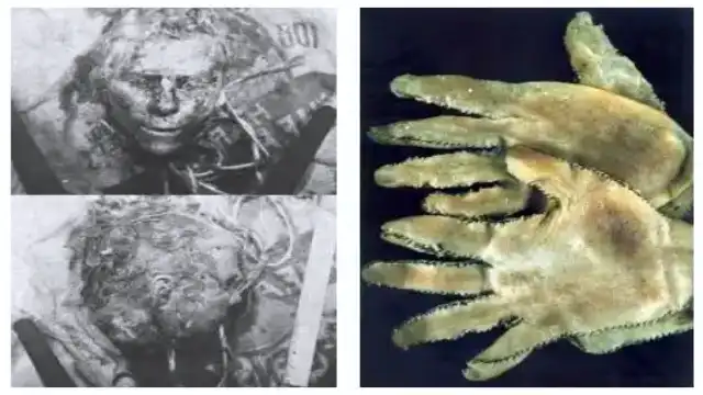 Is Texas Chainsaw Massacre True? Ed Gein vs Leatherface tcm house of horror