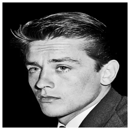 Alain Delon (1935–2024): Bio, Best Movies & His Legacy Alain Delon