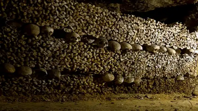 Paris Catacombs Missing