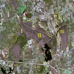 Bridgewater Triangle Explained: Mass. Paranormal Hotspot Hockomock Swamp