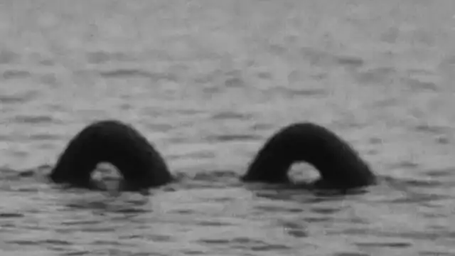 Lake Champlain's Champ: Sightings, Photos & Theories First European "Sighting"