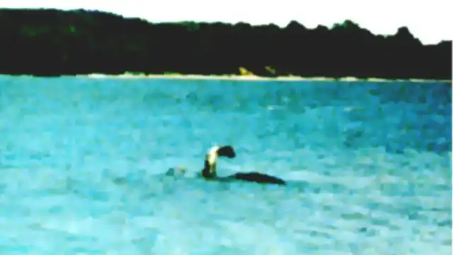 Lake Champlain's Champ: Sightings, Photos & Theories Lake Champlain Monster
