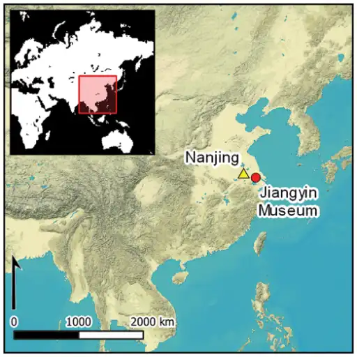 600-Year-Old Chinese Tools Hold Oldest Anesthesia Evidence Ming China
