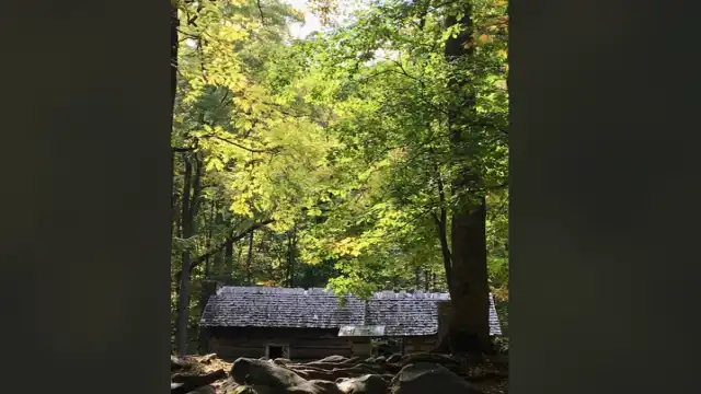 What Is Missing 411? History, Cases, Evidence & Criticism Roosevelt National Forests
