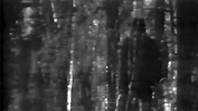 Fouke Monster True Story: Real Eyewitness Accounts & Archives Bobby Ford Incident