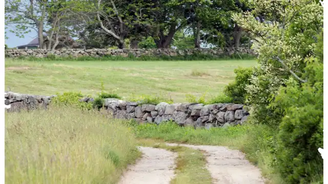 The Dover Demon Explained: True Story of the 1977 Sightings Dover Demon Sightings