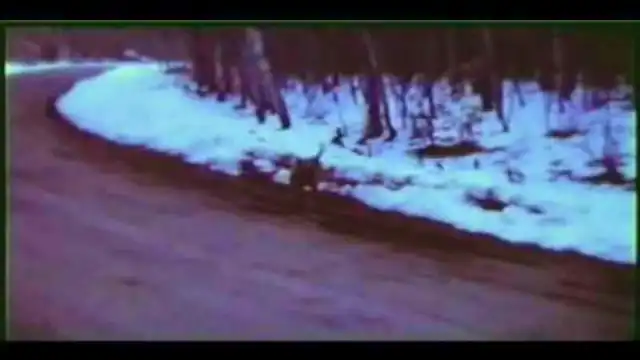 The Michigan Dogman Mystery: The Gable Film Hoax Explained Gable Film Mystery