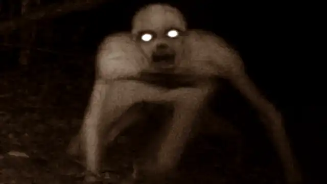 History of The Rake