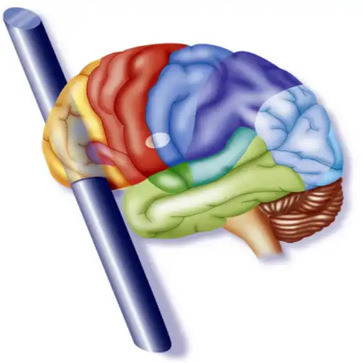 Phineas Gage: The True Story of History's Famous Brain Injury Phineas Gage Brain Injury Recovery