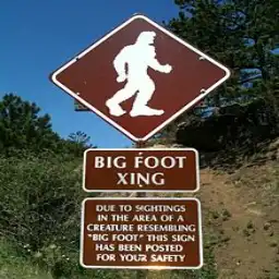 Is It Illegal to Kill Bigfoot? Inside the Sasquatch Law Skamania County Sasquatch Refuge