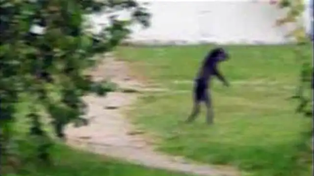 Truth About the Loveland Frogman