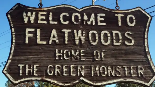 1952 Flatwoods Monster: UFOs, Toxic Mist, Radiation Symptoms welcome to flatwoods