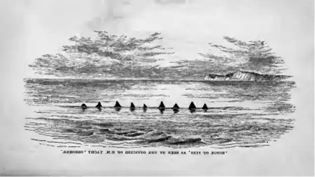 1877 Sea Serpent: Mystery of the Barque Pauline Monster colossal sea serpent