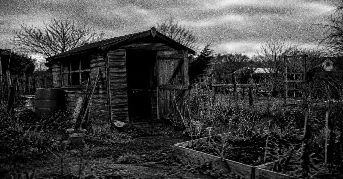 Bromley Poltergeist: The Haunted Allotment Shed Case