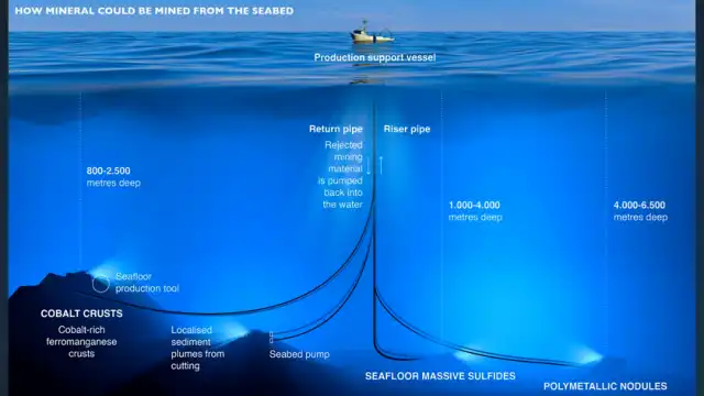 Deep-sea mining collection system