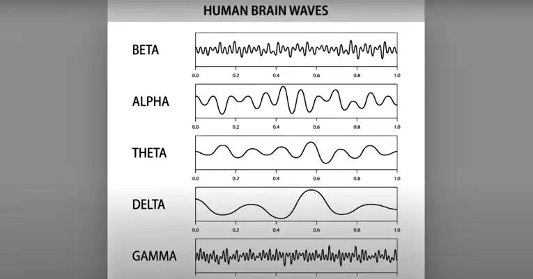 EEG brain wave patterns, highlighting Gamma waves.