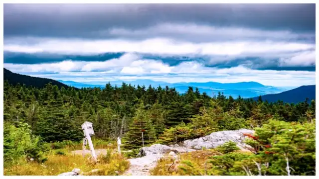 Glastenbury Mountain's dense