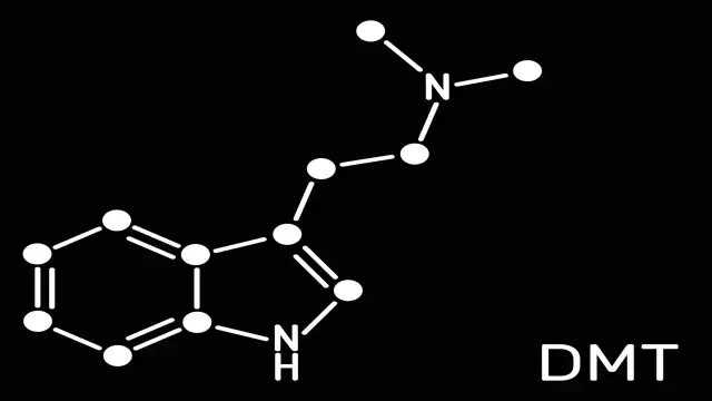 Molecular structure of DMT