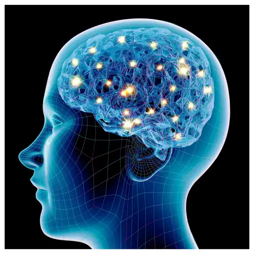 Neural activity and human consciousness