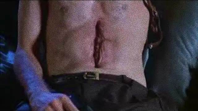 Videodrome plot explained